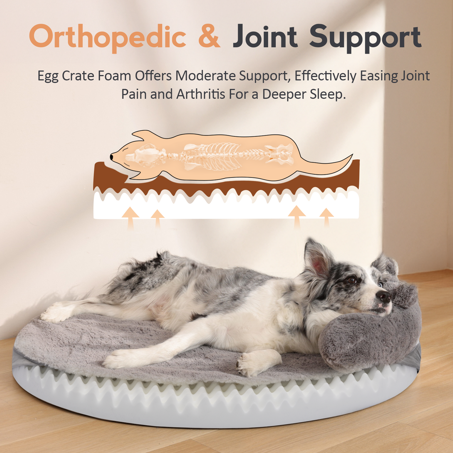 Round Dog Bed with Pillow